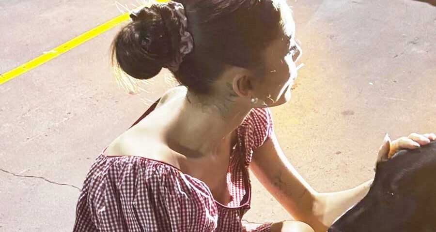 Ariana Grande: μια φωτό, pet click.