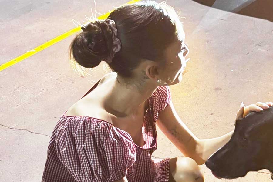 Ariana Grande: μια φωτό, pet click.
